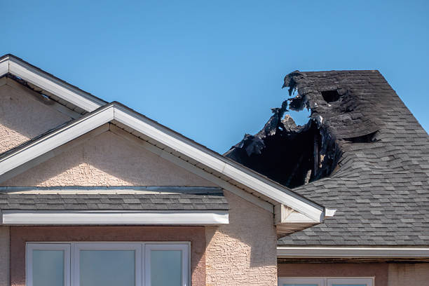 Top rated local Fire Damage Removal specialists in Joppa, MD